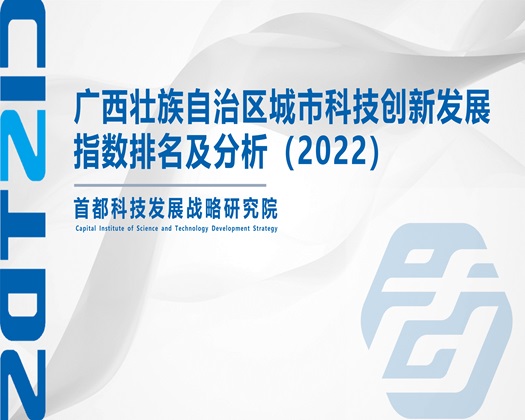 公公吸我的阴蒂【成果发布】广西壮族自治区城市科技创新发展指数排名及分析（2022）